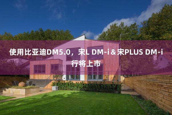 使用比亚迪DM5.0，宋L DM-i＆宋PLUS DM-i行将上市