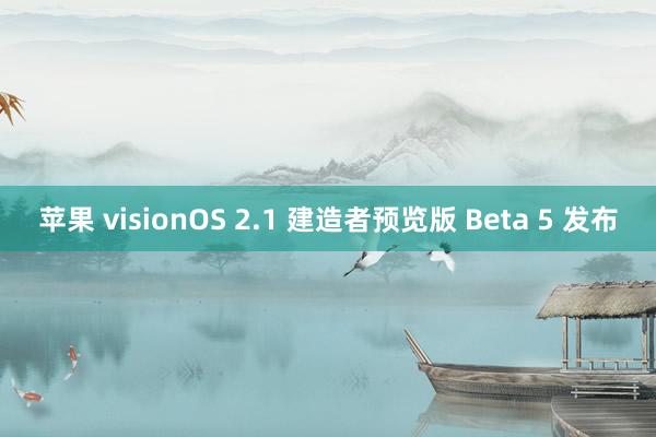 苹果 visionOS 2.1 建造者预览版 Beta 5 发布