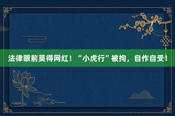 法律眼前莫得网红！“小虎行”被拘，自作自受！