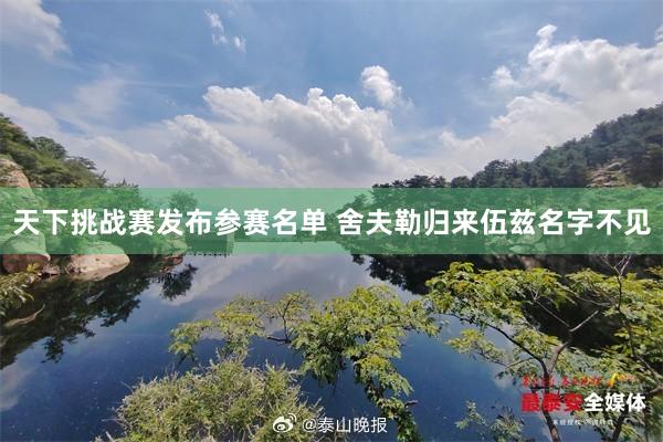 天下挑战赛发布参赛名单 舍夫勒归来伍兹名字不见