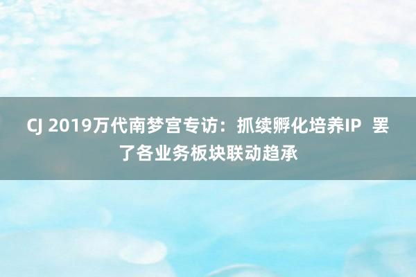 CJ 2019万代南梦宫专访：抓续孵化培养IP  罢了各业务板块联动趋承